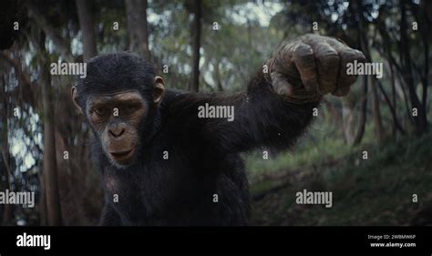 Planet Of The Apes Hi Res Stock Photography And Images Alamy