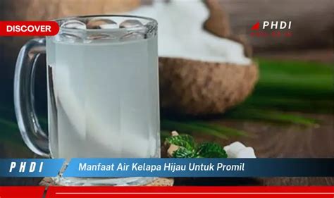 Temukan 7 Manfaat Air Kelapa Hijau Untuk Promil Yang Bikin Kamu Penasaran