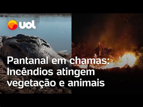 Pantanal em chamas MT decreta emergência de 60 dias fogo chega a MS