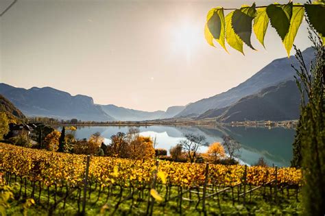 Herbst Kalterer See Kalterersee Termeno Tramin Autumn Autunno