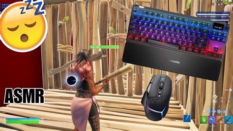 Steel Series Apex Pro Asmr Chill Keyboard Sounds Fortnite V Box