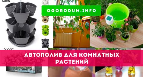 Система автополива для комнатных растений: как сделать своими руками ...
