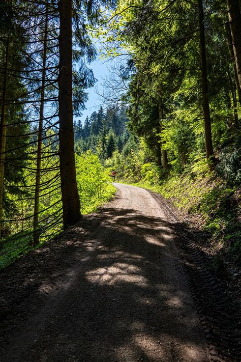 Mountainbike Weg Fahrradtour Kostenloses Foto Auf Pixabay Pixabay