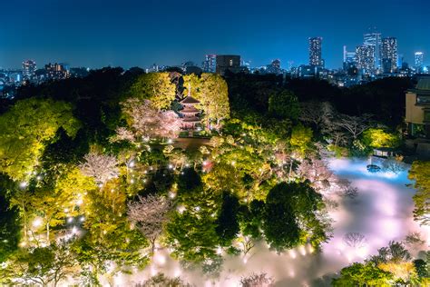 ホテル椿山荘東京の『夜桜演出』が幻想的！庭園のイブニングハイティーで春を体感｜very Navy