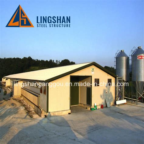 Prefab Steel Structure Poultry Farm House For 10000 Chickens China