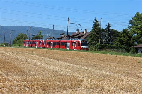 Champs De Les Plantaz Nyon Limaramada Manuel Ramada Flickr