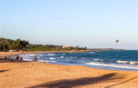 Praia De Gar A Torta Em Macei Dicas Incr Veis