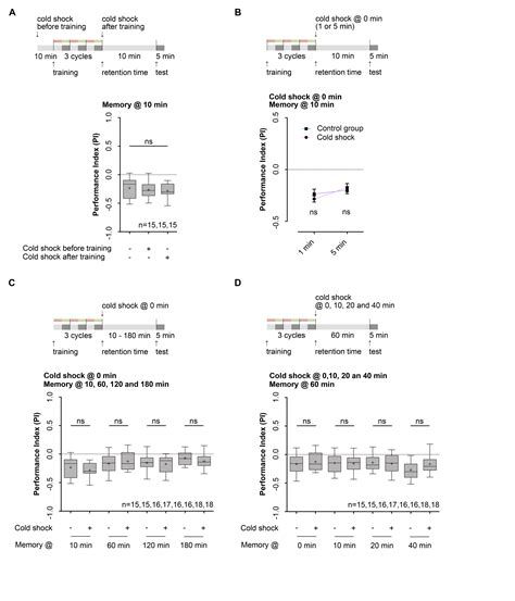 Genetic Dissection Of Aversive Associative Olfactory Learning And