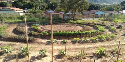 Campos Belos Turma De Agroecologia Da UEG Vai Inaugurar A Fazendinha