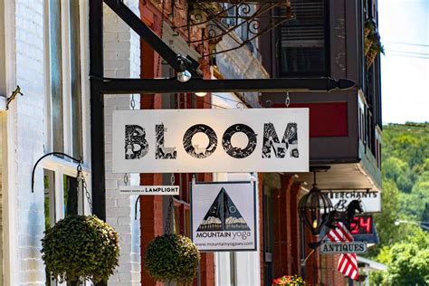 Bloom. A Contemporary Art Gallery in Thomas, West Virginia - Canaan ...