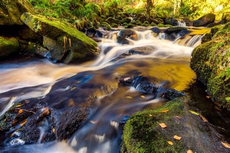 Image libre nature ruisseau rivière mousse bois chute deau eau