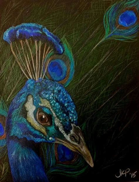 Peacock Colored Pencil Drawing To See More Art Go To