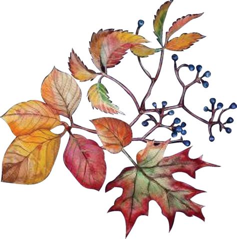 Pin By Life Coppier On Fabric Collection In Botanical Flower Art