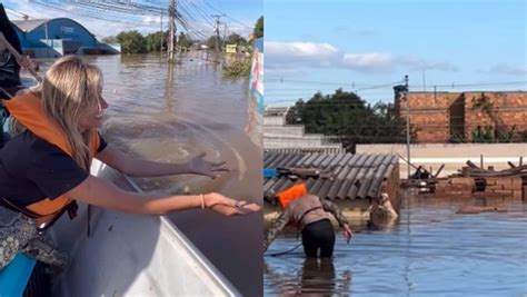 Luisa Mell Detalha Desafios No Resgate De Animais No Rio Grande Do Sul