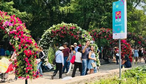 Festival de Flores y Jardines 2024 en CDMX tendrá dos sedes te decimos