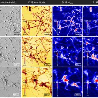 Lll Figure Is A Low Resolution Version Lll Nanoscale Infrared Imaging