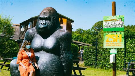 Paradise Wildlife Park Visiting Hertfordshires Famous Tourist