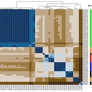 Hierarchical Cluster Dendrogram And Heatmap Based On The Dissimilarity