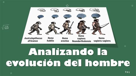 ⭐analizando La Imagen De La Evolución Del Hombre 📗 Aulamedia Historia Youtube