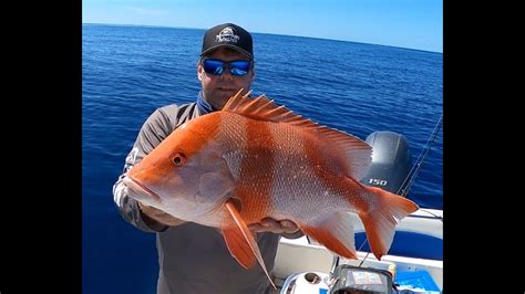 Fishing 1770 For Red Emperor Coral Trout And Cod YouTube