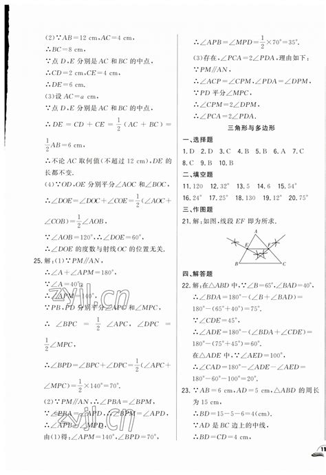 2023年胜券在握初中总复习数学人教版吉林专版答案——青夏教育精英家教网——