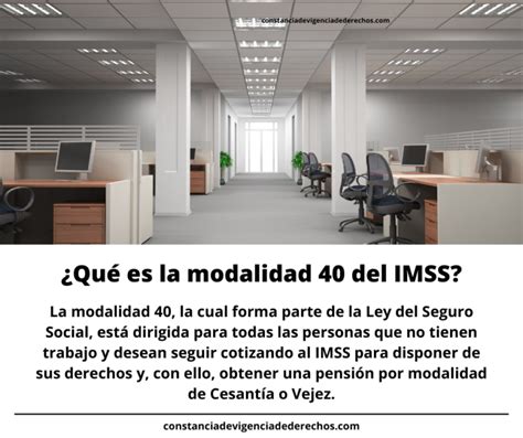 Vigencia De Derechos Para Modalidad 40 IMSS 40 Tutorial