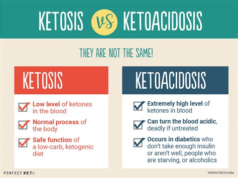 Ketosis Vs Ketoacidosis The Diference And Risks