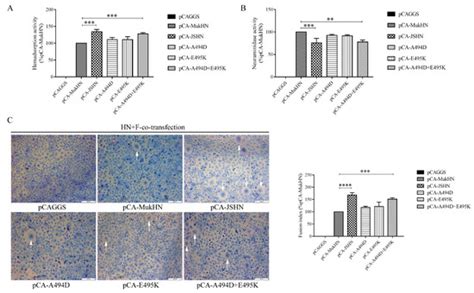 Viruses Free Full Text Biological Significance Of Dual Mutations