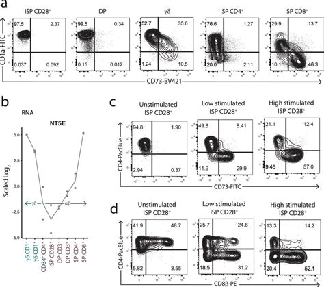 Tcr Stimulation Of Isp Cd28⁺ T Cells Diverts Development From The Dp αβ