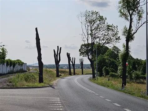 Bolesławiec dla Ciebie Bolec Info Wolno nas tak traktować