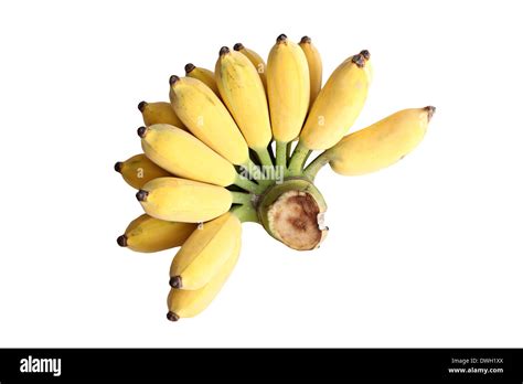 Ripe Cultivated Banana Isolated On White Background Stock Photo Alamy