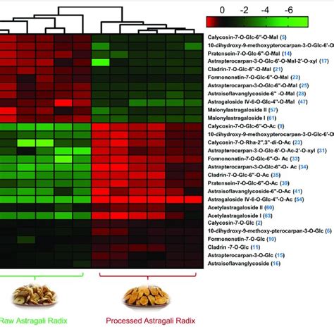 Heatmap Visualization From Metabolomic Analysis Indicated That 29