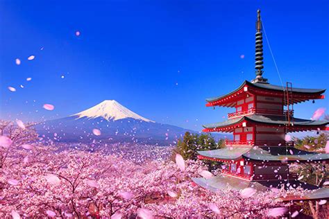 The Heights of Japanese Scenery: Springtime’s Miraculous “Triple Shots ...