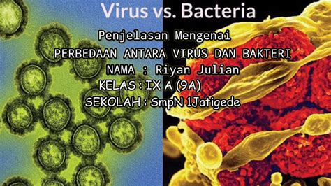 Perbedaan Virus Dengan Bakteri Youtube