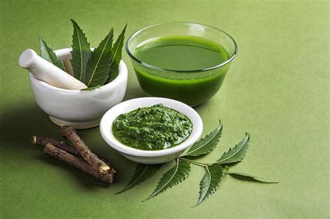 Medicinal Neem leaves in mortar and pestle 1223612 Stock Photo at Vecteezy