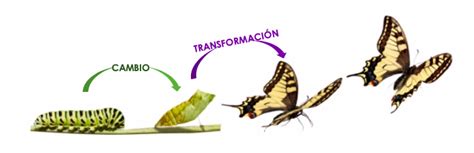 Conoce La Diferencia Entre Transformación Personal Y Cambio