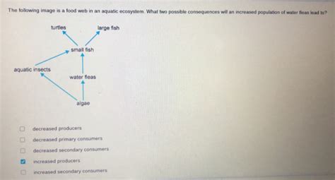 Solved The Following Image Is A Food Web In An Aquatic Ecosystem What