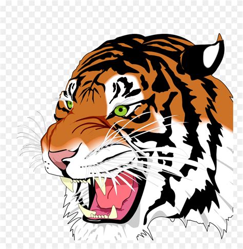 Tiger Roar Cartoon Drawing - Roar Clipart - FlyClipart