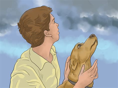 How to Calm a Dog During Thunderstorms: 12 Steps (with Pictures)