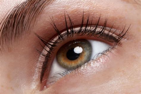 Yeux Marrons Verts Tout Savoir Sur Les Yeux Et Les Couleurs