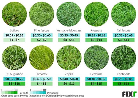 How Much Grass Seed Per Acre The Complete Guide