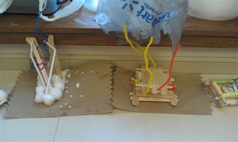 Egg Drop Science Fair Experiment