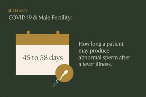 Will COVID 19 Affect Male Fertility Give Legacy