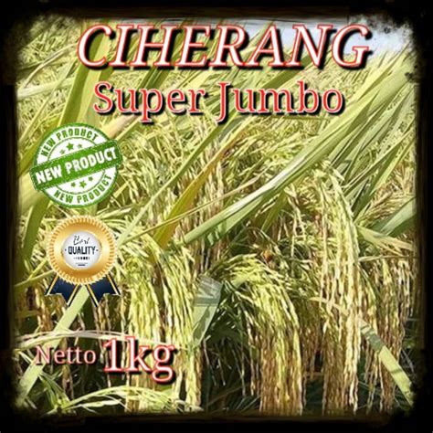 Jual Benih Padi Ciherang Super Jumbo Kemasan Kg Shopee Indonesia