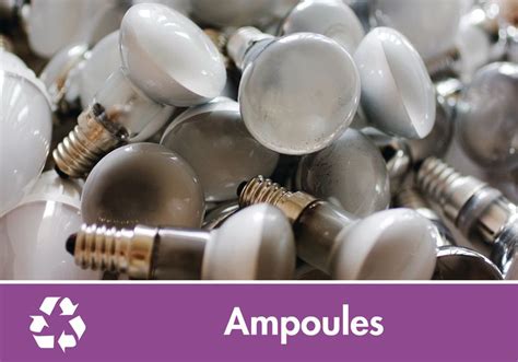 Signal Tique Recyclage Ampoules Seton Belgique