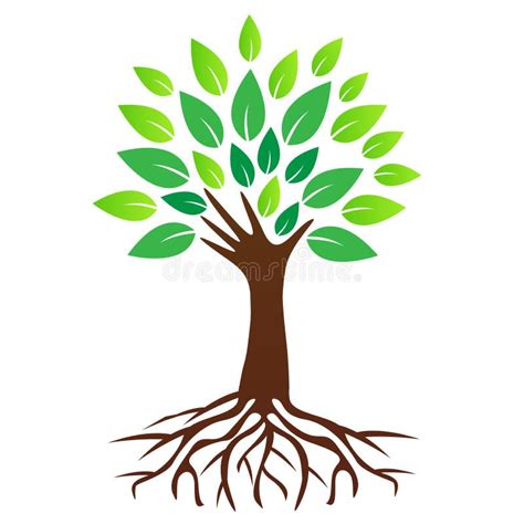 Hand Tree With Roots Stock Vector Illustration Of Community 37076279