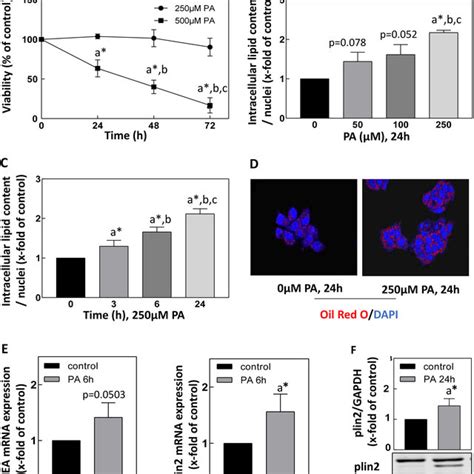 PA Induces LD Content In HepG2 Cells A Neutral Red Assay HepG2 Cells