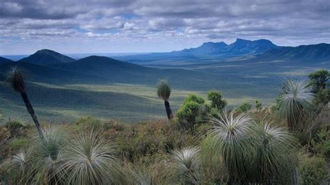 Biodiversity Hot Spot The Southwest Of Western Australia