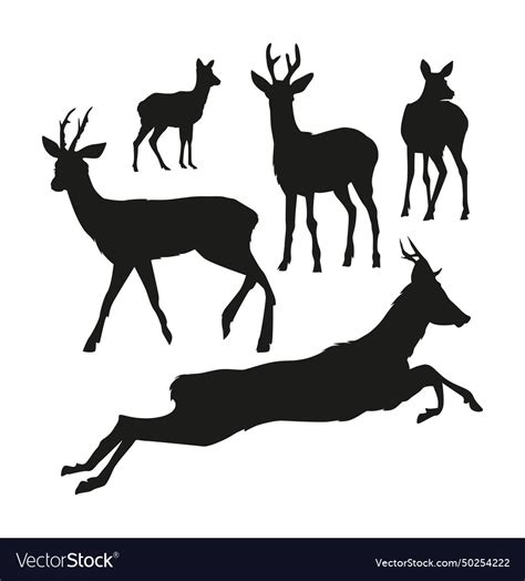 Roe Deer Silhouettes Royalty Free Vector Image