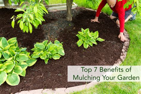 Top Benefits Of Mulching Your Garden